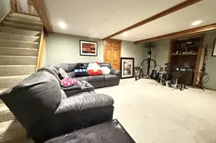 50 Mary Senica Ct, Lasalle, IL 61301 - Photo 16