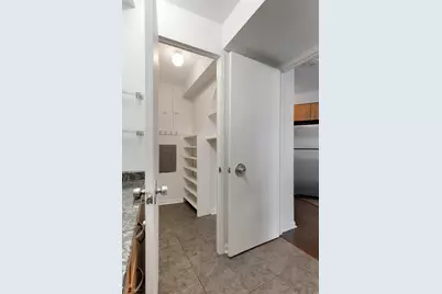 300 N State Street #4907, Chicago, IL 60654 - Photo 14