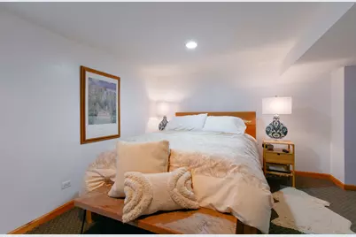 1147 S Grove Avenue, Oak Park, IL 60304 - Photo 26