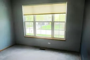 11850 Blue Bayou Dr, Huntley, IL 60142 - Photo 12