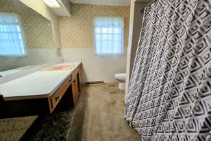 426 Maxwell St, Beecher, IL 60401 - Photo 20