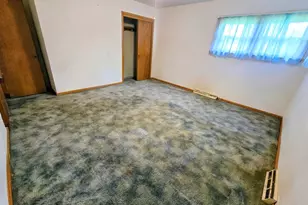 426 Maxwell St, Beecher, IL 60401 - Photo 14