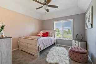 3823 Ballantrae Way, Flossmoor, IL 60422 - Photo 36