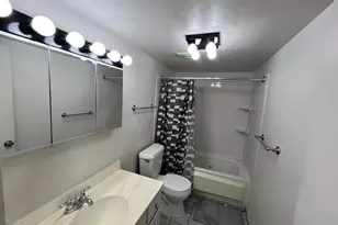 1030 Dunlop, Forest Park, IL 60130 - Photo 6