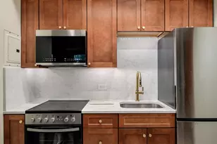 33 E Division St, Chicago, IL 60610 - Photo 34