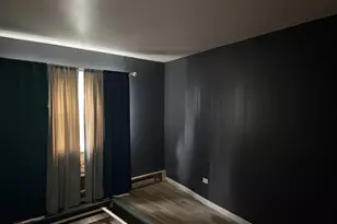 950 E 86th St, Chicago, IL 60619 - Photo 10
