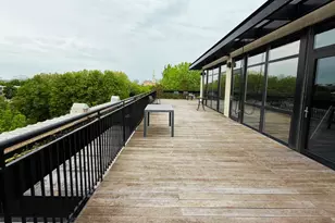 1069 W 14th Pl, Chicago, IL 60608 - Photo 22