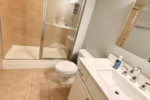 1069 W 14th Pl, Chicago, IL 60608 - Photo 10