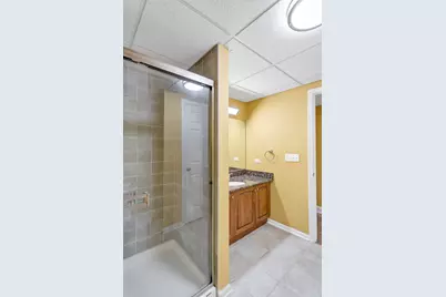 3N812 John Greenleaf Whittier Place, Saint Charles, IL 60175 - Photo 74