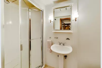 427 S Waterman Avenue, Arlington Heights, IL 60004 - Photo 14
