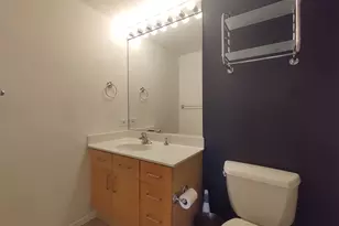 420 S Clinton St, Chicago, IL 60607 - Photo 12