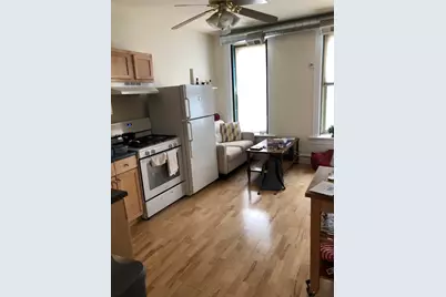 1736 W Beach Avenue, Chicago, IL 60622 - Photo 18
