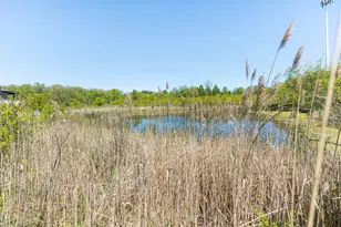 Lot 1 2 Deer Pond Dr, Saint Charles, IL 60175 - Photo 8