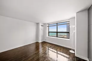 474 N Lake Shore Dr, Chicago, IL 60611 - Photo 2