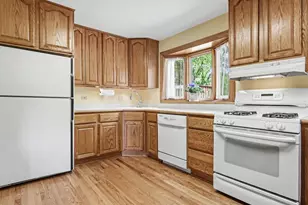 10S287 Alma Ln, Naperville, IL 60564 - Photo 8