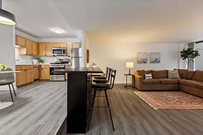 230 E Ontario Street #1305, Chicago, IL 60611 - Photo 8