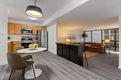 230 E Ontario Street #1305, Chicago, IL 60611 - Photo 10