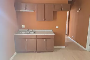 132 W 113th St, Chicago, IL 60628 - Photo 12