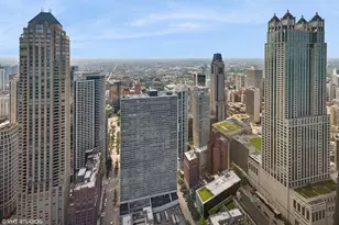 180 E Pearson St, Chicago, IL 60611 - Photo 16