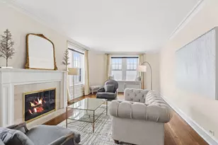 1120 N Lake Shore Dr, Chicago, IL 60611 - Photo 8