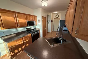 18251 Kirby Dr, Tinley Park, IL 60487 - Photo 14