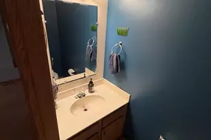 18251 Kirby Dr, Tinley Park, IL 60487 - Photo 16