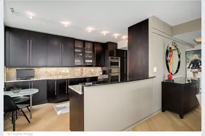 1000 N Lake Shore Plaza #39B, Chicago, IL 60611 - Photo 12