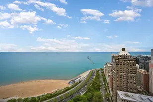 1000 N Lake Shore Plaza, Chicago, IL 60611 - Photo 28