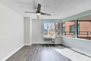 801 S Plymouth Ct, Chicago, IL 60605 - Photo 10