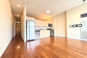 1720 S Michigan Ave, Chicago, IL 60616 - Photo 8