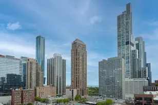 1255 S State St, Chicago, IL 60605 - Photo 20