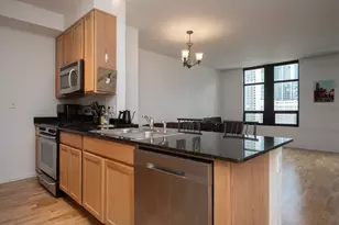 1255 S State St, Chicago, IL 60605 - Photo 6