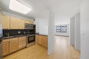 222 E Pearson St, Chicago, IL 60611 - Photo 2