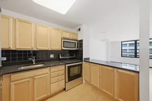 222 E Pearson St, Chicago, IL 60611 - Photo 8