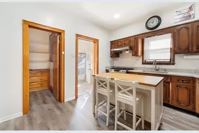 4607 S Karlov Avenue, Chicago, IL 60632 - Photo 10