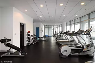 303 W Ohio St, Chicago, IL 60654 - Photo 10