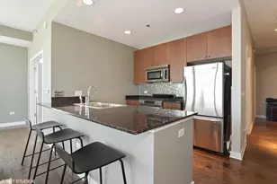 303 W Ohio St, Chicago, IL 60654 - Photo 4