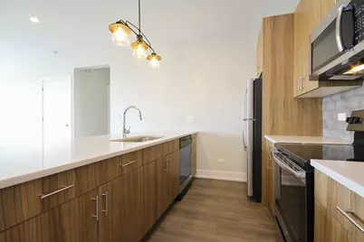 2111 S Halsted Street #201, Chicago, IL 60608 - Photo 8