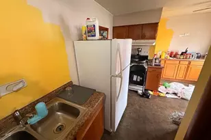 10003 S Exchange Ave, Chicago, IL 60617 - Photo 18