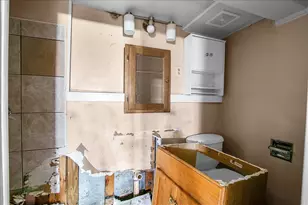 8906 S Mackinaw St, Chicago, IL 60617 - Photo 18
