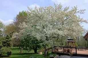 34 Carlisle Rd, Hawthorn Woods, IL 60047 - Photo 46