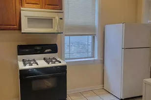 1742 W Wallen Ave, Chicago, IL 60626 - Photo 6