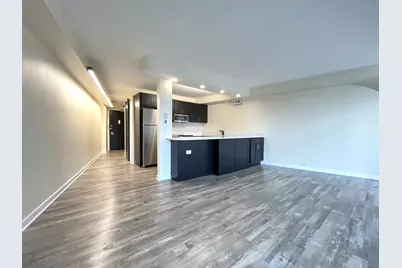 300 N State Street #5225, Chicago, IL 60654 - Photo 2