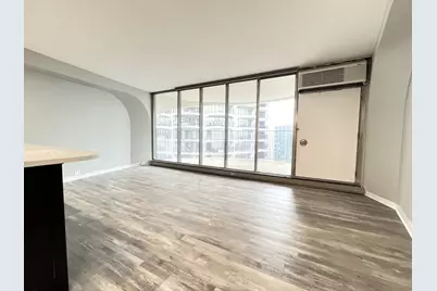 300 N State Street #5225, Chicago, IL 60654 - Photo 8