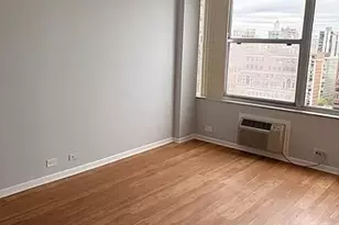 1000 N Lake Shore Dr, Chicago, IL 60611 - Photo 8