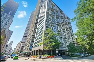 1000 N Lake Shore Dr, Chicago, IL 60611 - Photo 1
