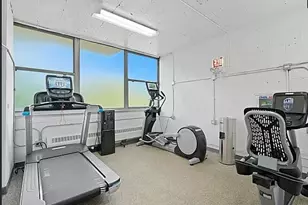 1000 N Lake Shore Dr, Chicago, IL 60611 - Photo 10