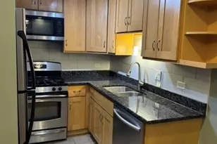 247 N Neltnor Blvd, West Chicago, IL 60185 - Photo 4