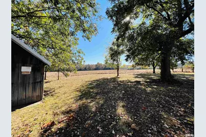 17064 Old Frankfort Road, Johnston City, IL 62951 - Photo 22