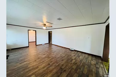 17064 Old Frankfort Road, Johnston City, IL 62951 - Photo 28